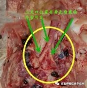 全國多地呼吸道又頻發(fā)？（雨天較多易感染）!